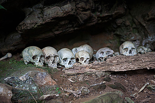 人头骨,洞穴,塔里,巴布亚新几内亚