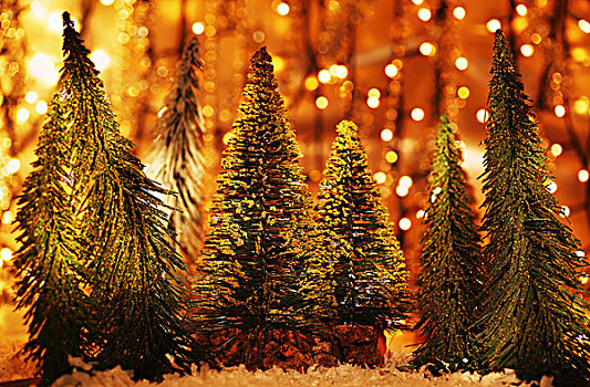 圣诞树,树林