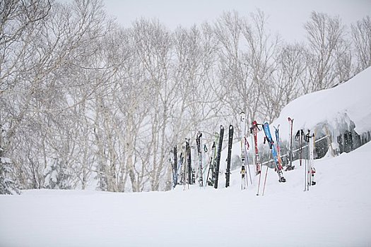 滑雪