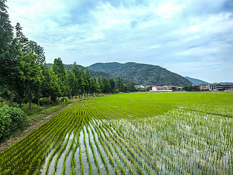 山村,美丽乡村