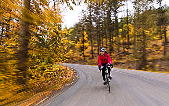 公路自行车赛,速度,东方,湖岸,秋天,白鲑,蒙大拿,美国