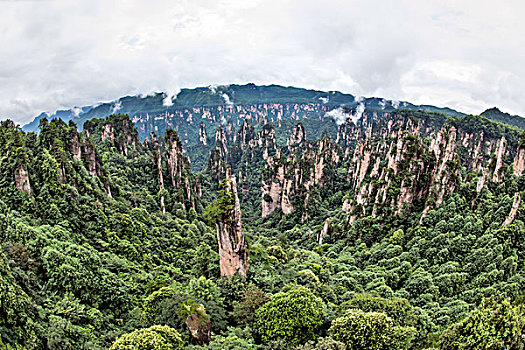 湖南,张家界,峰林,云雾