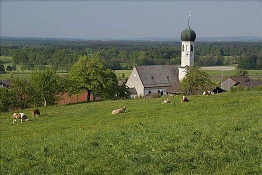草场,正面,教堂,坏,上巴伐利亚,巴伐利亚,德国