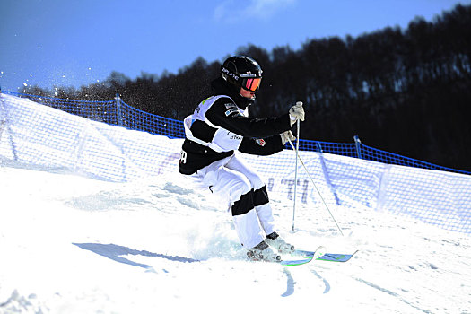 滑雪运动员精彩比赛中