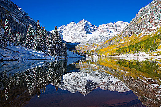 美国,科罗拉多,早,雪,靠近,白杨,风景,栗色,湖,远景