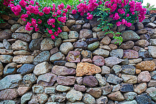 石头,老房子,花