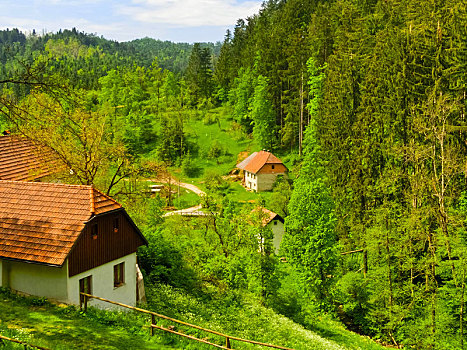 波斯托伊纳,斯洛文尼亚,五月,农舍,山,区域,靠近
