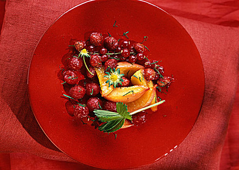 草莓,红浆果,桃,水果沙拉