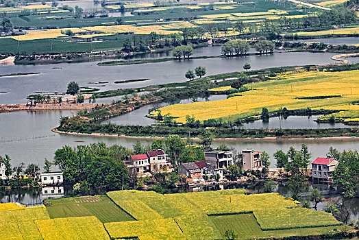 安徽省芜湖市响水涧油菜花田园乡村自然景观