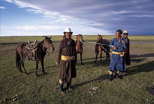 马,哺乳动物,骑乘,草原,蒙古,亚洲,牲畜,动物