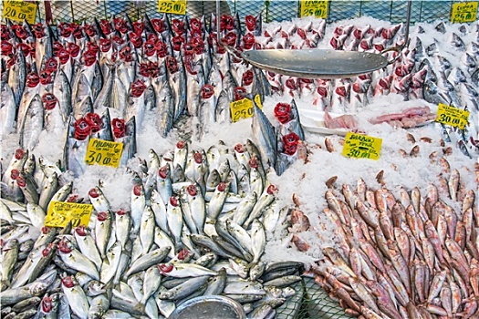 鱼,市场