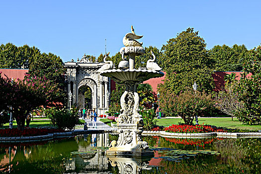 天鹅,喷泉,花园,朵尔玛巴切皇宫,宫殿,伊斯坦布尔,欧洲,省,土耳其,亚洲