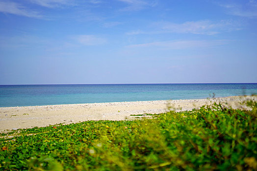 海滩,石垣岛,冲绳,日本