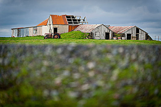 乡村,农场,靠近,冰岛,欧洲