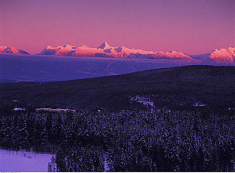 顶峰,树,黄昏,不列颠哥伦比亚省,加拿大