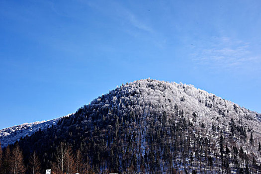 中国雪乡,羊草山