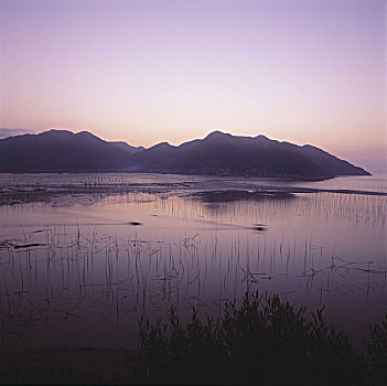 福建,霞浦,海上,人家