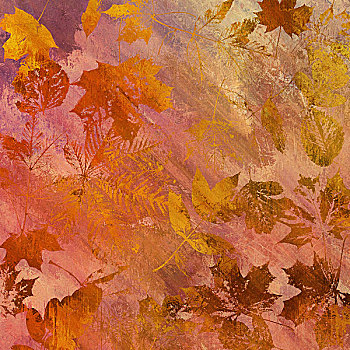 艺术,秋叶,背景,黄色,紫罗兰,橙色,褐色,彩色