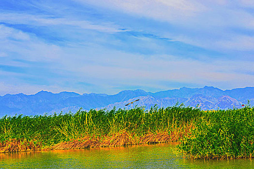 宁夏回族自治区,沙湖景观