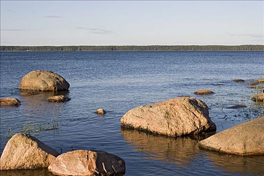 石头,海中,海岸线,靠近,爱沙尼亚,欧洲