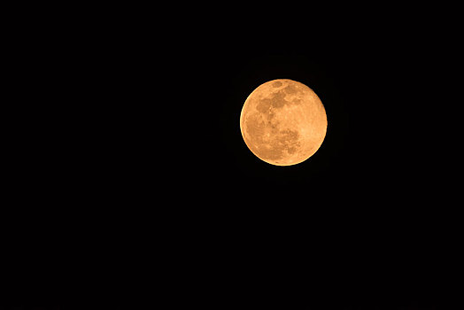 获月,看,橙色,夜空