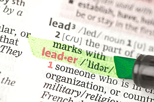 领导,定义,突显,绿色,字典