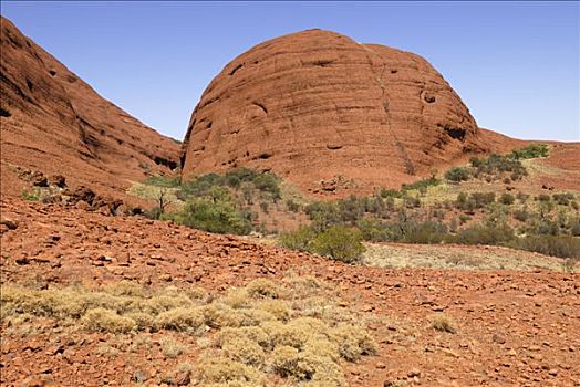 石头,圆顶,奥尔加,卡塔曲塔国家公园,北领地州,澳大利亚