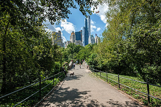 中央公园,桥,风景,摩天大楼,曼哈顿,纽约,美国,北美