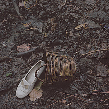旧式,一个,白色,鞋,卧,湿,地面,树林,篮子,把手,柏林,德国,秋天,2005年