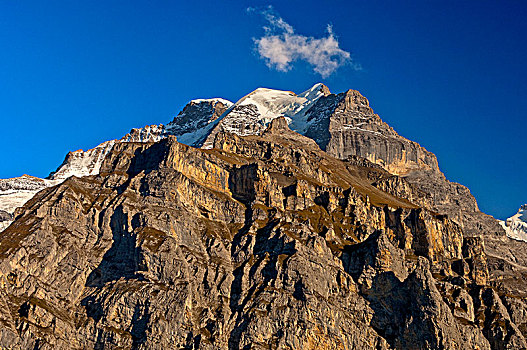 顶峰,少女峰,山,后面,风景,伯恩高地,伯恩,瑞士,欧洲