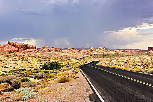 孤单,道路,沙漠,雷暴,山谷,内华达,美国,北美