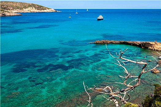 伊比萨岛,青绿色,海滩,乐园,巴利阿里群岛