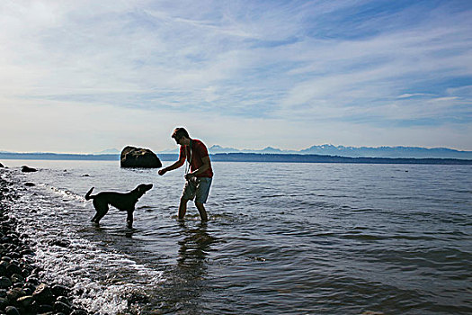 男人,玩,狗,岸边,普吉特湾,西雅图,华盛顿,美国