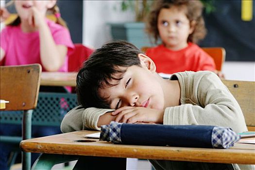 教室,小男孩,睡觉,书桌,女孩,背影