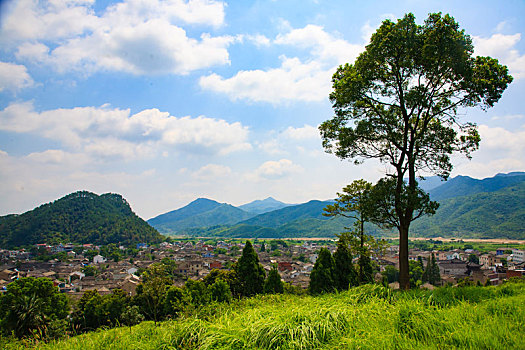 俯瞰,古镇,古村,山村,松树