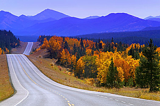 公路,卡纳纳斯基斯县,艾伯塔省,加拿大