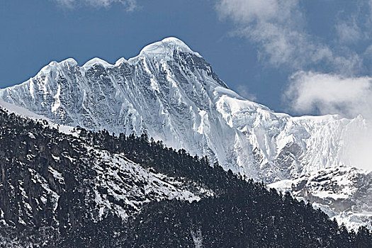 仰视,积雪,山,香格里拉,云南,中国