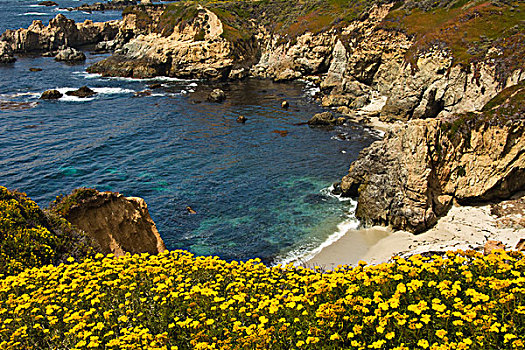 海滩,小湾,州立公园,加利福尼亚,美国