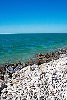 石头,海滩,基韦斯特,佛罗里达,美国