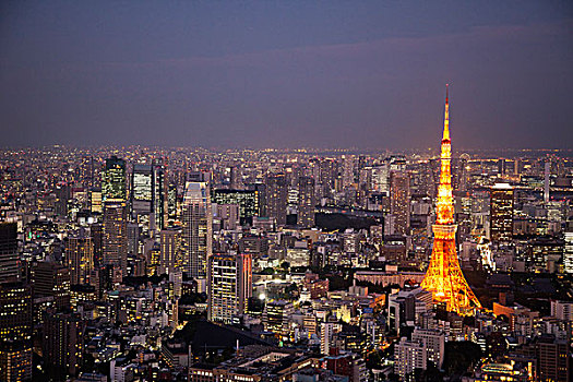 航拍,城市,东京塔,东京,日本