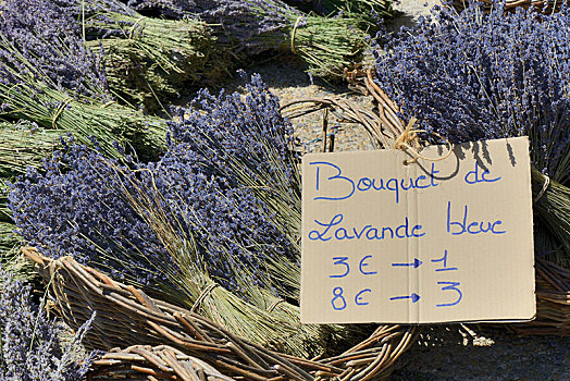 薰衣草,出售,普罗旺斯,区域,法国,欧洲