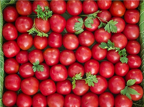 成熟,西红柿,鲜明,红色,小,尺寸