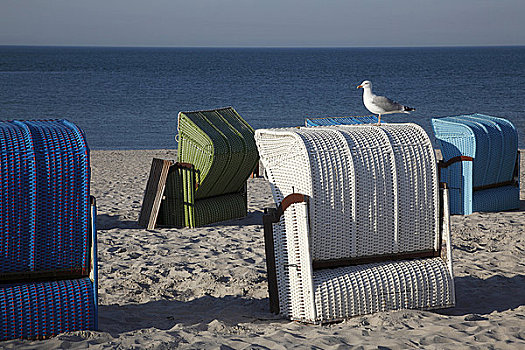 欧洲,银鸥,海滩,椅子,赫尔戈兰岛,德国