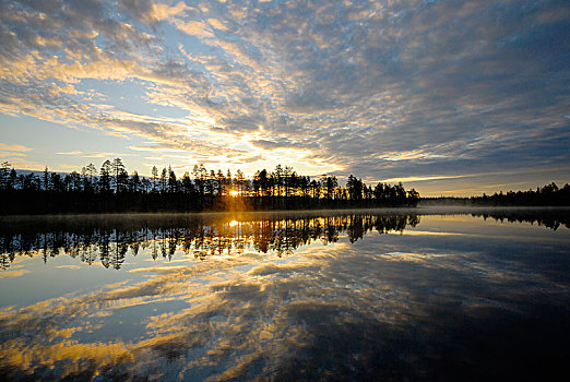 树林,湖,早晨,亮光,芬兰