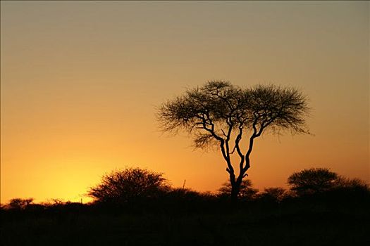 日落,区域,纳米比亚