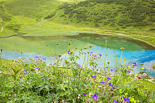 高山湖