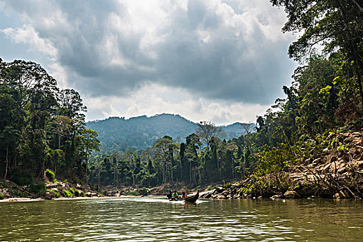 船,河,雨林,丛林,马来西亚,亚洲
