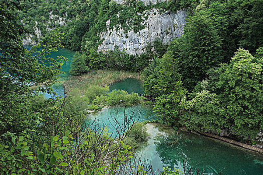 风景