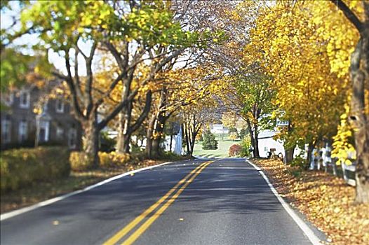 居民区,秋天,宾夕法尼亚,美国