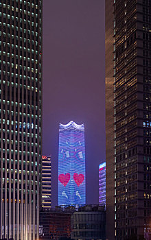 上海白玉兰广场大厦